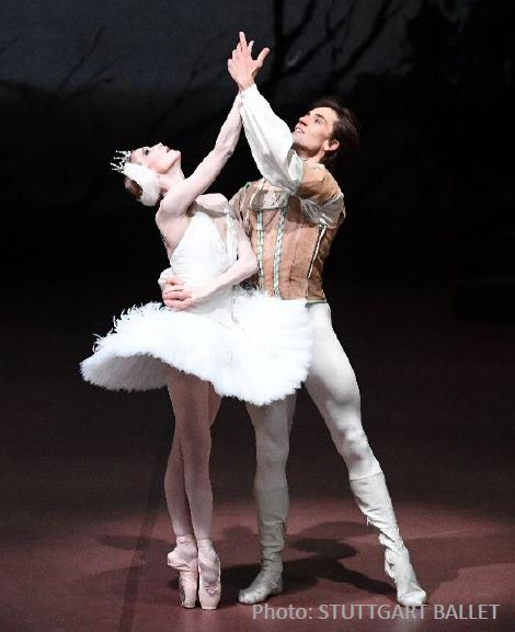 白鳥シュツットガルト